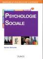 Manuel Visuel De Psychologie Sociale (3e Édition) - Preview