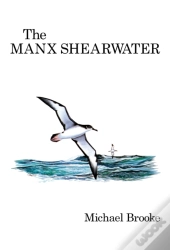 Manx Shearwater