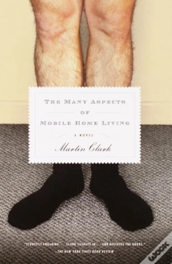 Capa do artigo Many Aspects Of Mobile Home Living