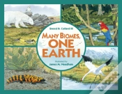 Capa do artigo Many Biomes, One Earth