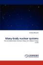 Many-Body Nuclear Systems - Preview