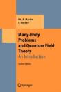 Many-Body Problems And Quantum Field Theory - Preview