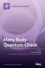 Many Body Quantum Chaos - Preview
