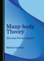 Many-Body Theory - Preview