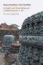 Many Buddhas, One Buddha - Preview