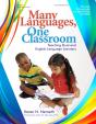 Many Languages, One Classroom - Preview