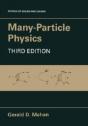 Many-Particle Physics - Preview