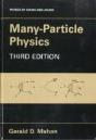 Many-Particle Physics - Preview
