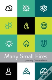 Many Small Fires