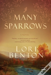 Capa do artigo Many Sparrows