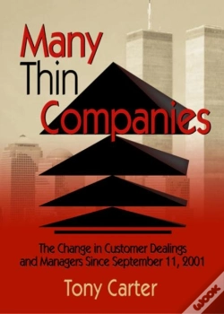 Capa do artigo Many Thin Companies