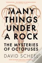 Many Things Under A Rock