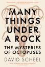 Many Things Under A Rock - Preview
