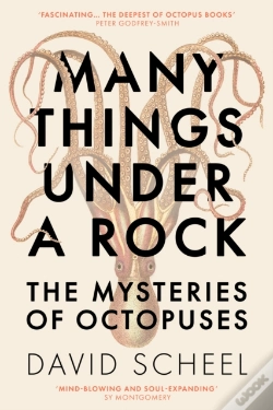 Capa do artigo Many Things Under A Rock