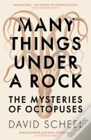 Many Things Under A Rock
