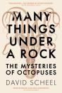 Many Things Under A Rock - Preview