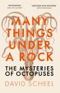Many Things Under A Rock - Preview