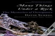 Many Things Under A Rock