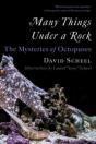 Many Things Under A Rock - Preview