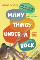 Many Things Under A Rock Young Readers Edition