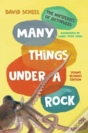Capa do artigo Many Things Under A Rock Young Readers Edition