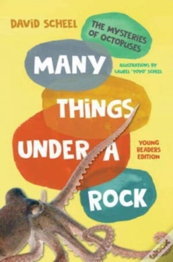 Capa do artigo Many Things Under A Rock Young Readers Edition