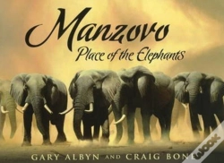 Capa do artigo Manzovo