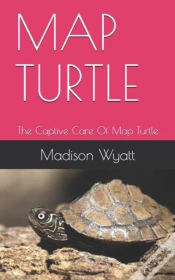 Capa do artigo Map Turtle