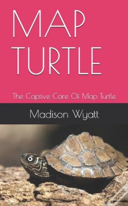 Capa do artigo Map Turtle