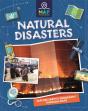 Map Your Planet Natural Disasters - Preview