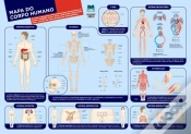 Capa do artigo Mapa do Corpo Humano