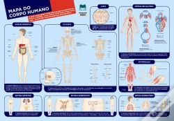 Capa do artigo Mapa do Corpo Humano