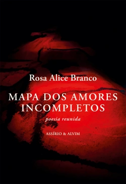 Capa do artigo Mapa dos Amores Incompletos
