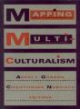 Mapping Multiculturalism - Preview