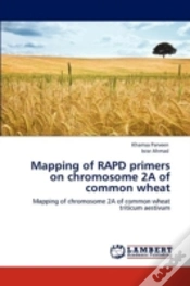 Capa do artigo Mapping Of Rapd Primers On Chromosome 2a Of Common Wheat