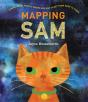 Mapping Sam - Preview