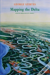 Capa do artigo Mapping The Delta