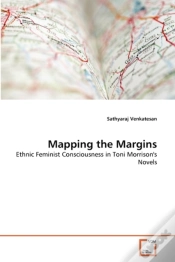 Capa do artigo Mapping The Margins