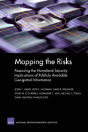 Mapping The Risks - Preview