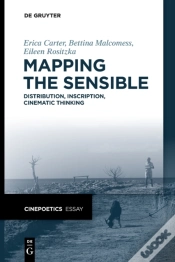 Capa do artigo Mapping The Sensible