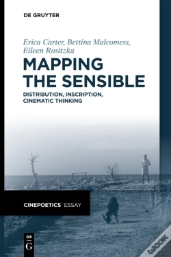 Capa do artigo Mapping The Sensible