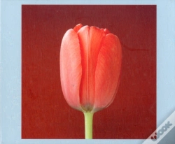 Capa do artigo Mapplethorpe Flowers Quicknotes