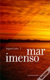 Capa do artigo Mar Imenso