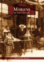 Marans Et Son Canton - Preview