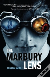 Capa do artigo Marbury Lens