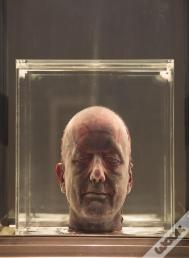 Marc Quinn: Chronos & Cosmos