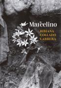 Marcelino