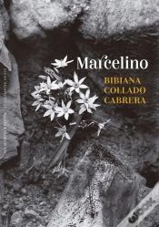 Capa do artigo Marcelino
