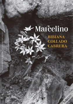 Capa do artigo Marcelino