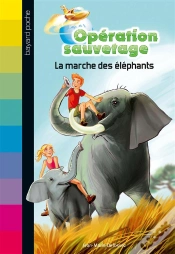 Capa do artigo Marche Des Elephants N2
